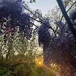 Alojamento de Acomodação e Pequeno-almoço Giardini Susanna Gattico