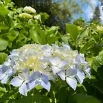 Giardini Susanna Bed & Breakfast Veruno