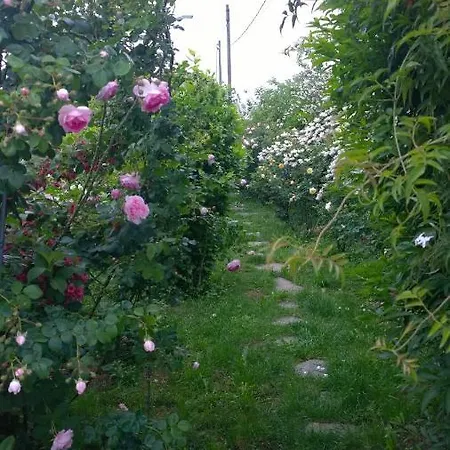 Bed & Breakfast Giardini Susanna