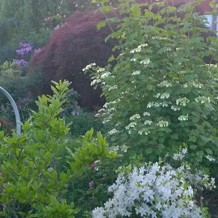 Giardini Susanna Bed & Breakfast *