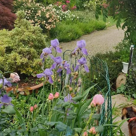 Bed & Breakfast Giardini Susanna Gattico