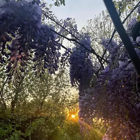 Bed and Breakfast Giardini Susanna Gattico