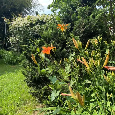 Giardini Susanna Frühstückspension Veruno