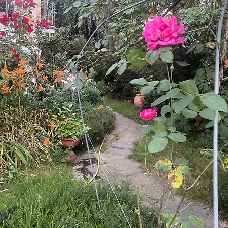 Giardini Susanna *