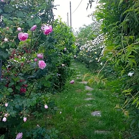 Alojamento de Acomodação e Pequeno-almoço Giardini Susanna