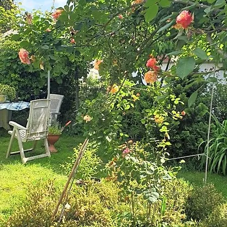 Alojamento de Acomodação e Pequeno-almoço Giardini Susanna