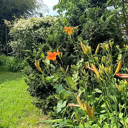 Giardini Susanna Alojamento de Acomodação e Pequeno-almoço *