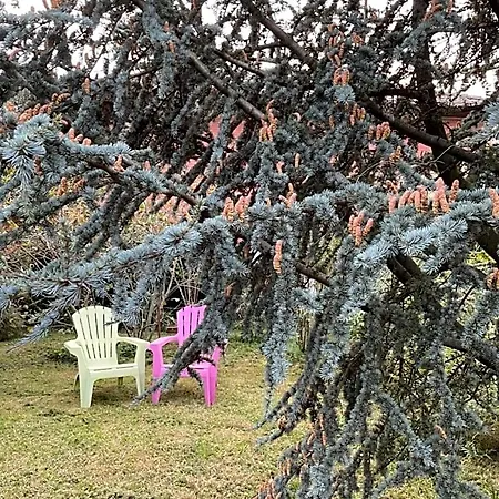 Alojamento de Acomodação e Pequeno-almoço Giardini Susanna Veruno