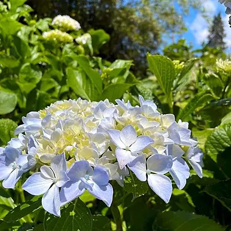 Giardini Susanna