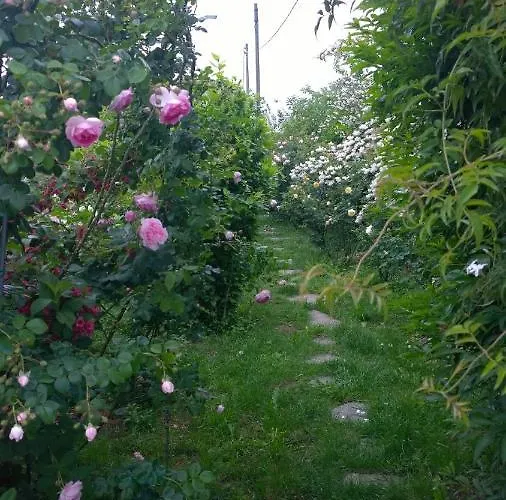 Bed & Breakfast Giardini Susanna