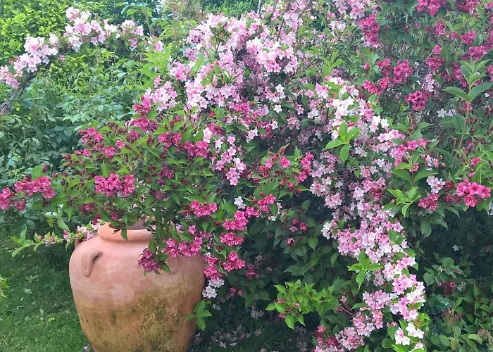 Bed & Breakfast Giardini Susanna Gattico