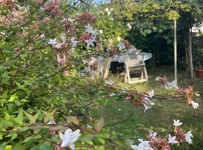 Giardini Susanna Gattico