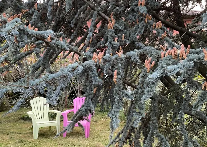 Giardini Susanna